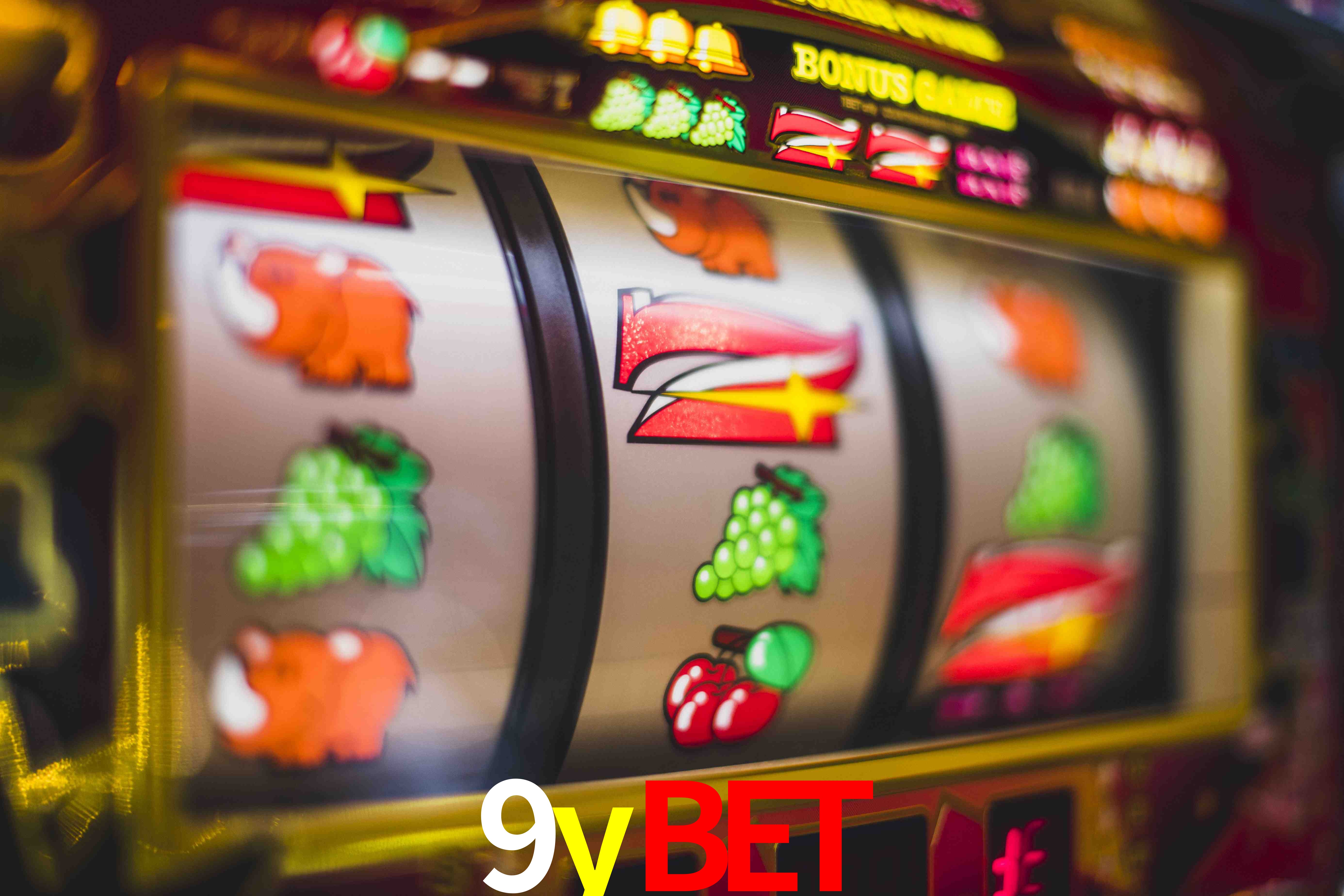 Sports Statistics 9ybet